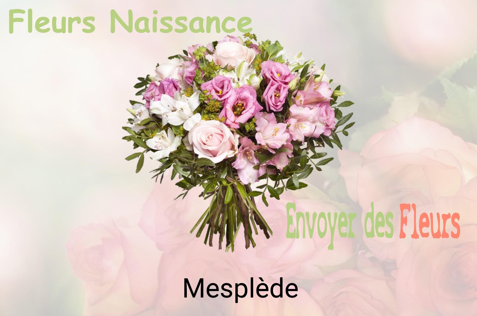 Bouquet de fleurs de naissance livré à Mesplède