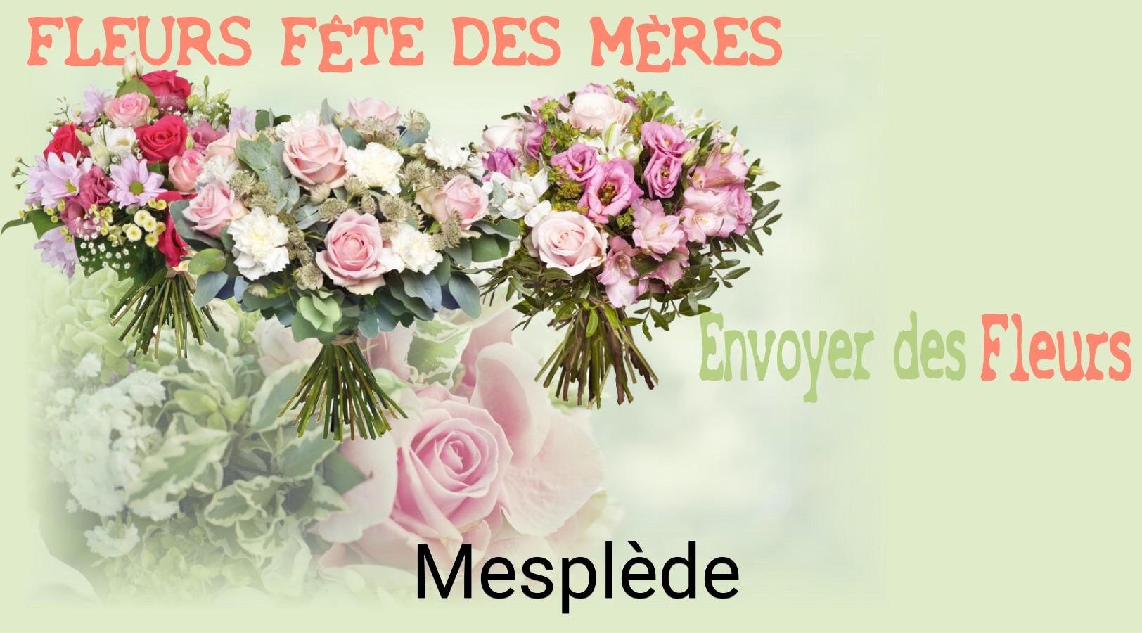 Bouquet de Fête des Mères livré à Mesplède